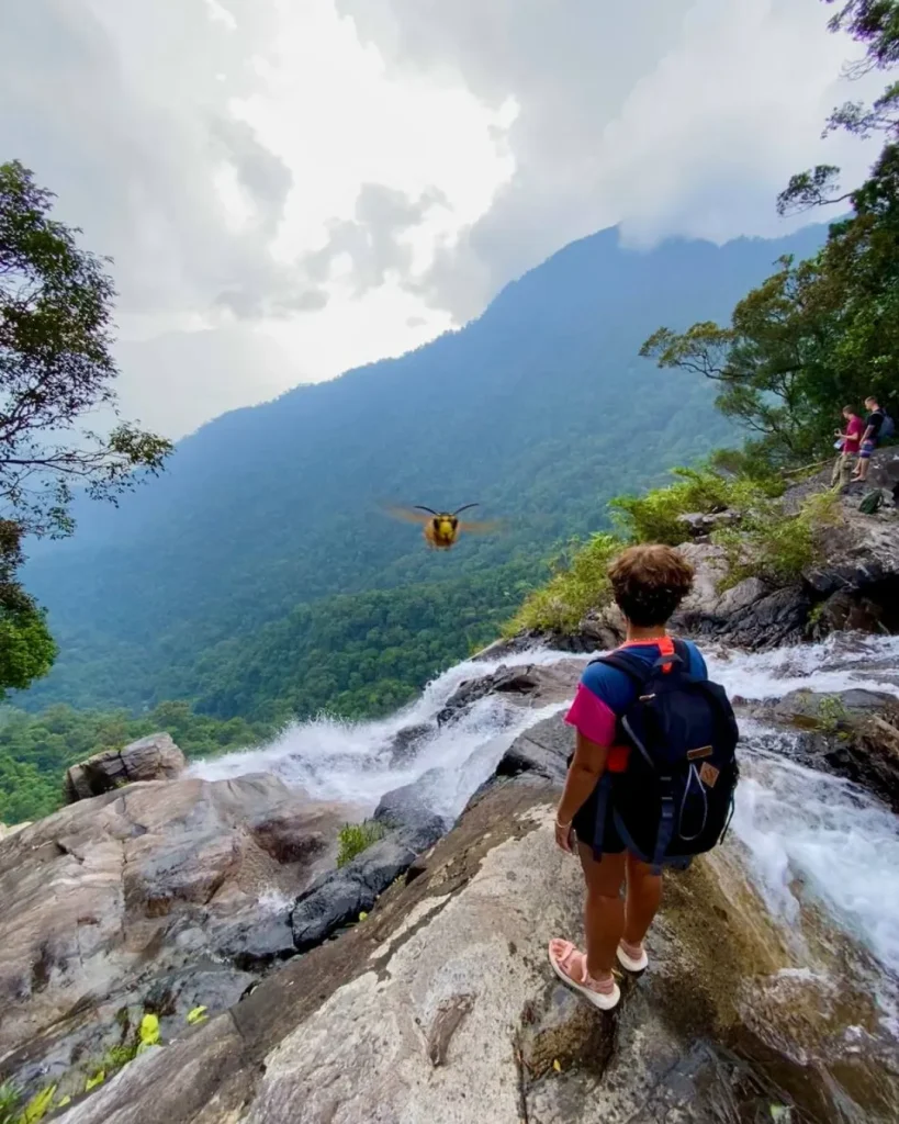 Bach Ma: Path to the Clouds