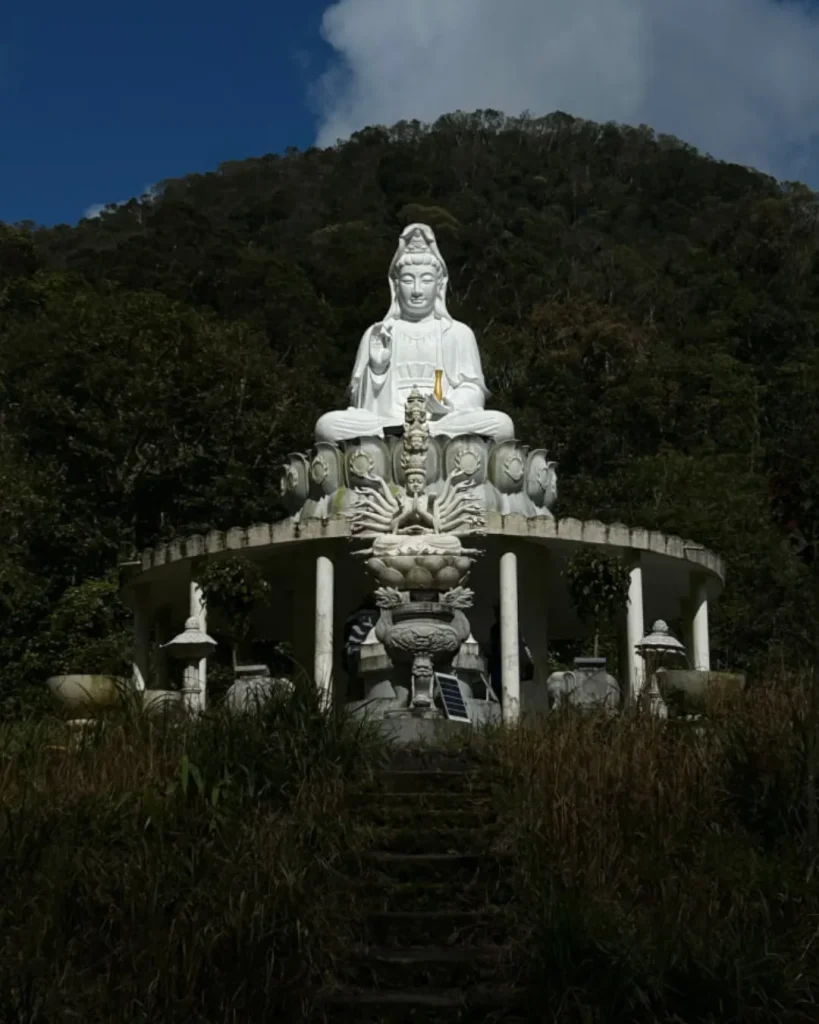 Bach Ma: Path to the Clouds
